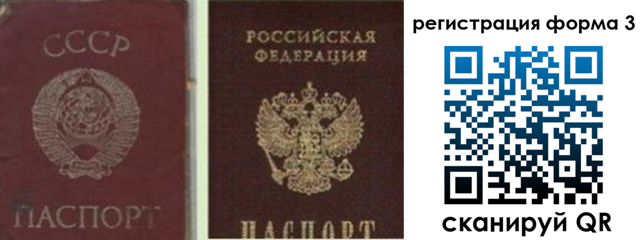 прописка для школы в Свободном